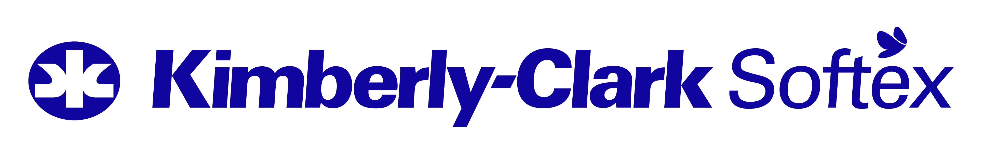 KCS Logo Blue
